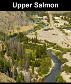 Upper Salmon Subbasin Projects