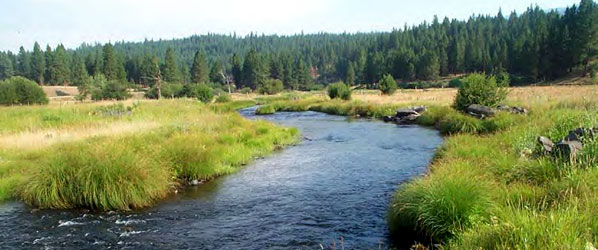 Oxbow Conservation reach Area