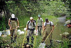 Electrofishing