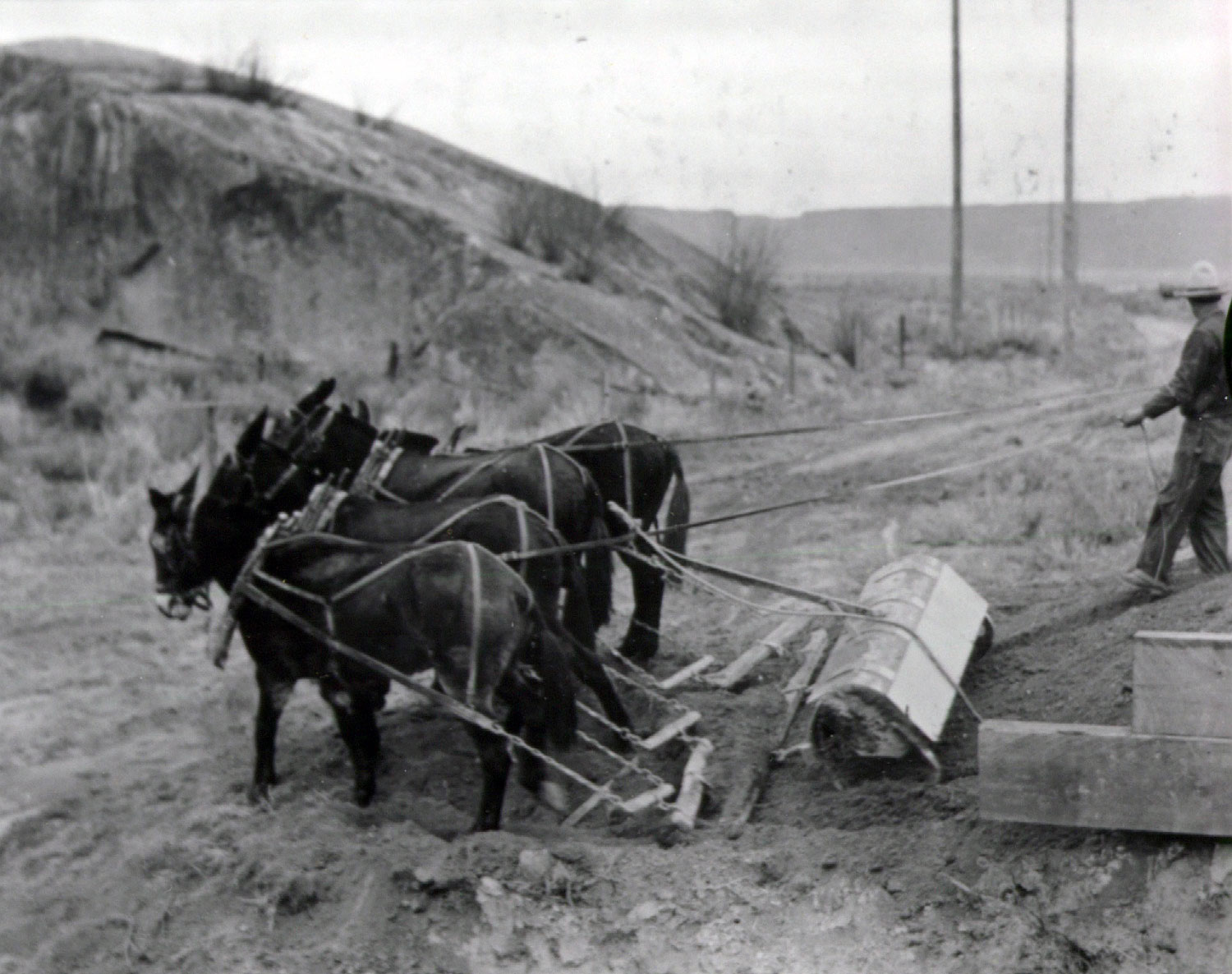 Photo taken Circa 1935. Preparing bed with mules for laying ties for the railroad spur from Coulee City to Grand Coulee Dam.