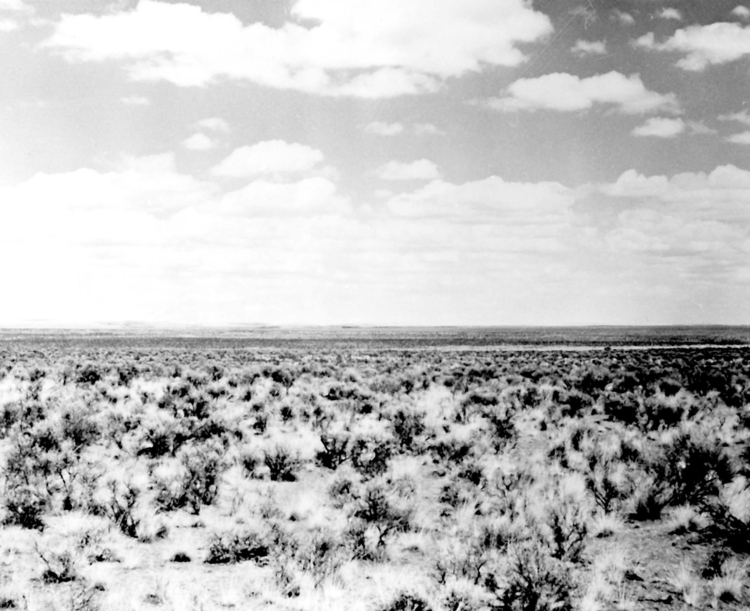 Photo taken August 15, 1944. Typical landscape near Moses Lake, WA before irrigation from Grand Coulee Dam.