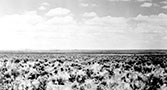 August 15, 1944. Typical landscape near Moses Lake, WA before irrigation from Grand Coulee Dam.