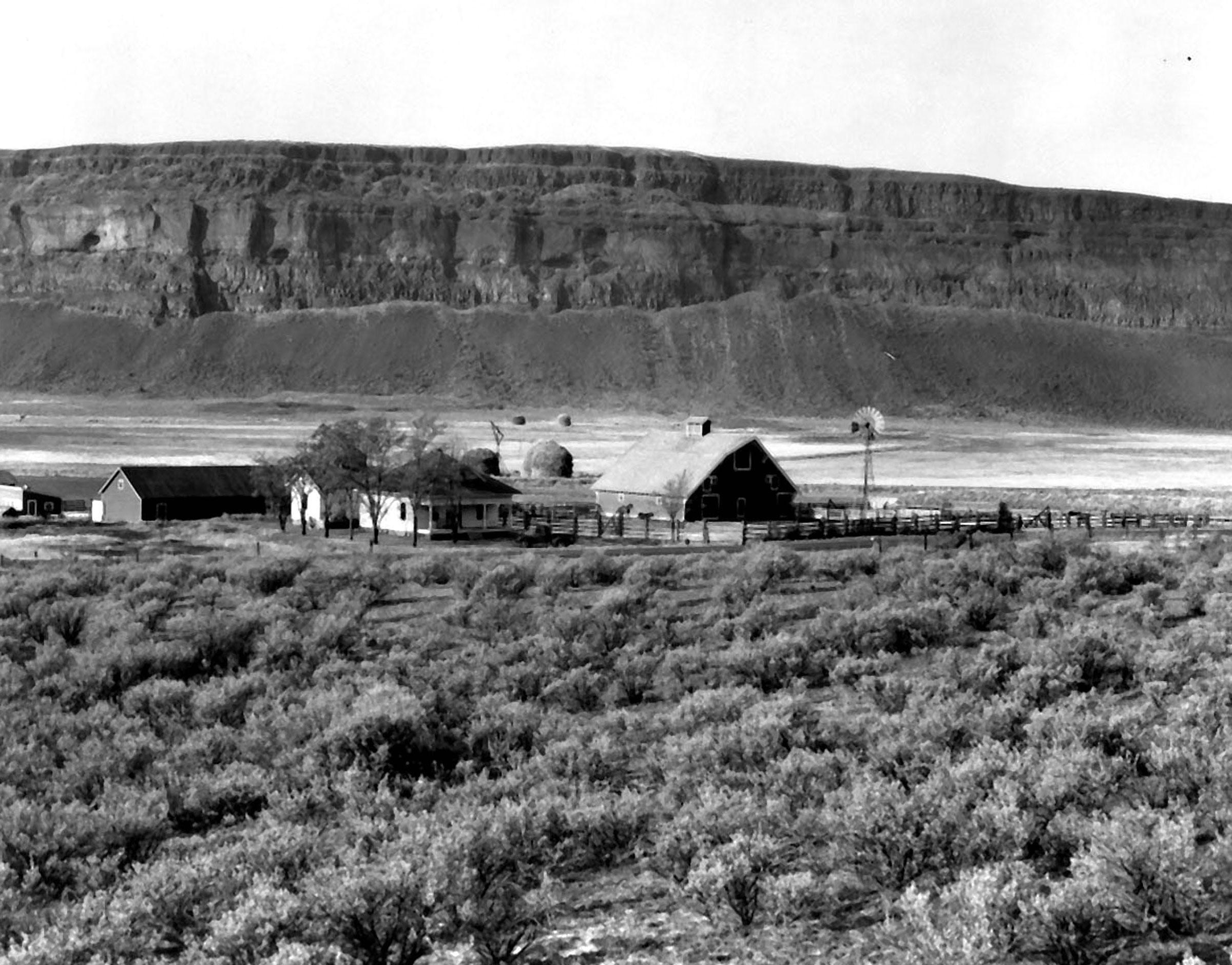 November 19, 1946. The Dave Lewis farm in the Upper Grand Coulee will be flooded by the equalizing reservoir from Grand Coulee Dam.