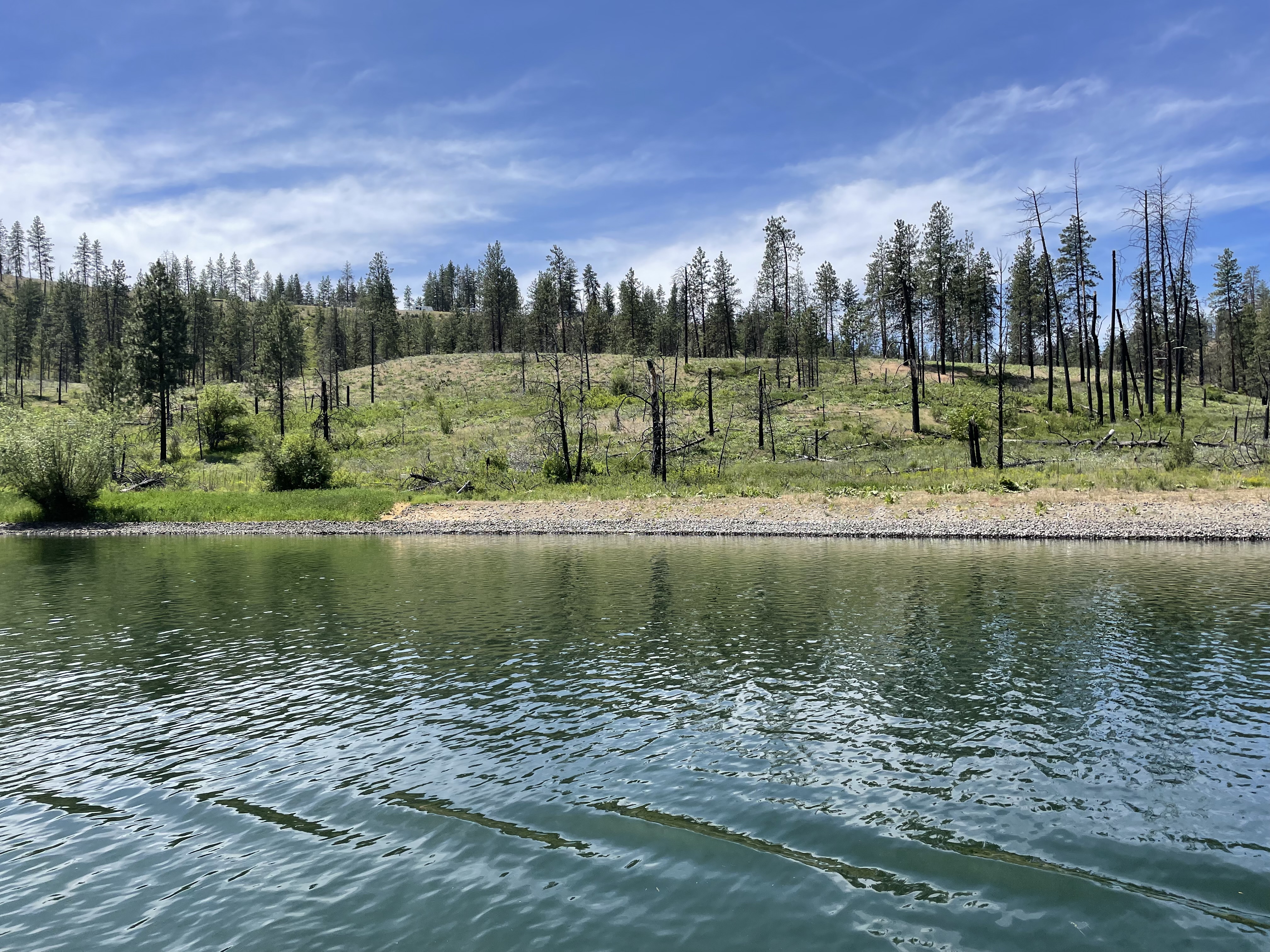 View of Cayuse Cove Slope Stabilization