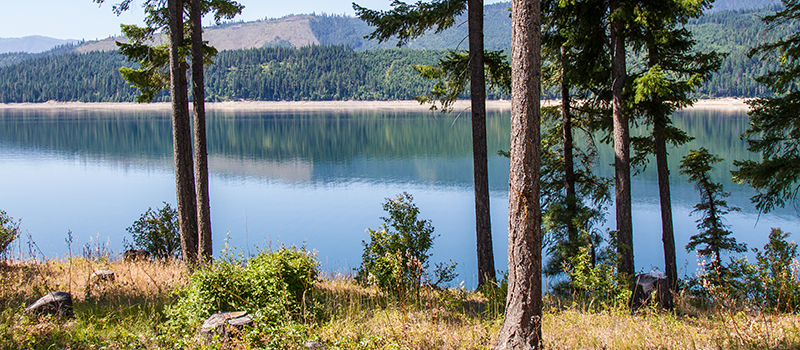 Photo of Cle Elum Reservoir from its eastern shore.