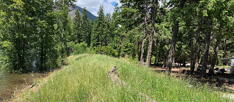 Photo of Cle Elum River Campground - Vegetation has been fully established on a new berm built in 2017.