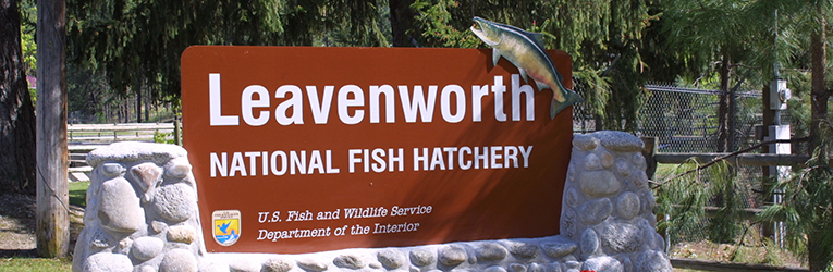 Leavenworth Fish Hatchery Sign