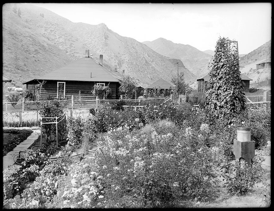 Arrowrock dam. Flower garden.
