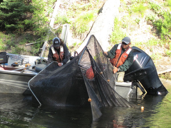 Deploying a Trapnet at Deadwood, 2011