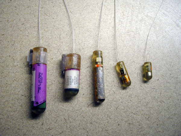 Types of Radio Tags, 2012