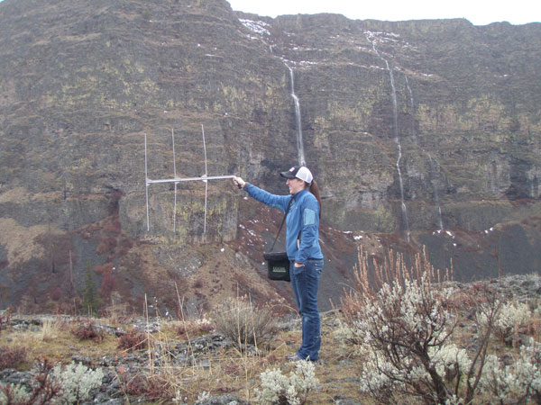 Radio-Tracking at the South Fork Boise River, 2012