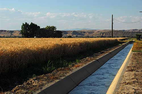 Irrigation canal