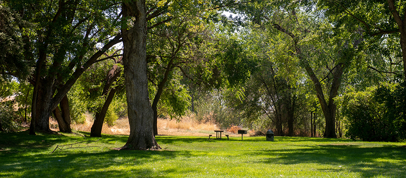 Photo of Picnic area at Cobblestone Park