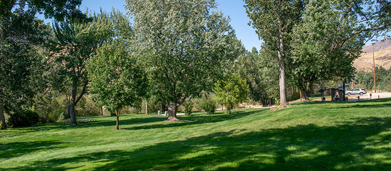 Photo of Picnic site at Cobblestone Park