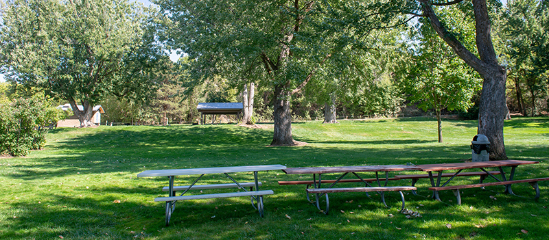 Photo of Picnic area at Cobblestone Park