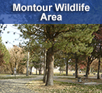 Go to Montour Wildlife Area Page
