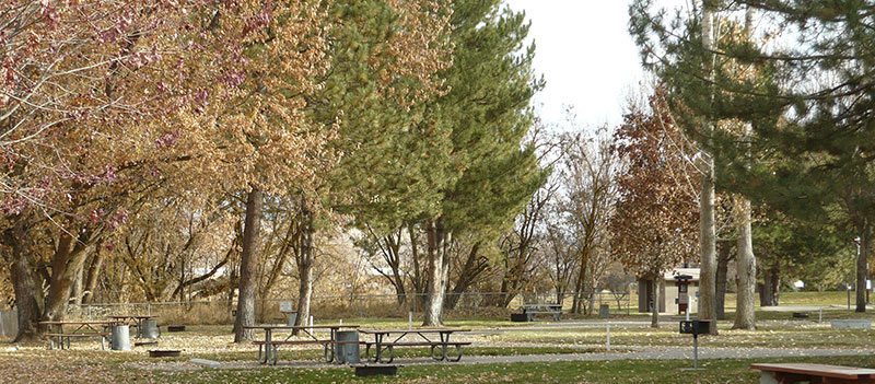 Photo of Picnic site at Montour Wildlife Area