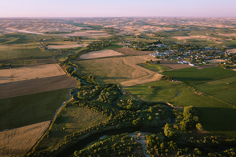 The confluence of the Touchet River with the Walla Walla River in Oregon, looking north. Photo credit: U.S. Fish and Wildlife Service.