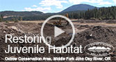 Go to Restoring Juvenile Habitat Video on Oxbow Project's page