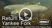 Go to Return to the Yankee Fork: PS3 Side Channel Project video on the FCRPS Tributary Habitat Project's page