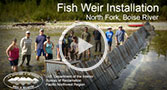 Go to Fish Weir Installation: North Fork, Boise River video on Snake River's BullTrout Page