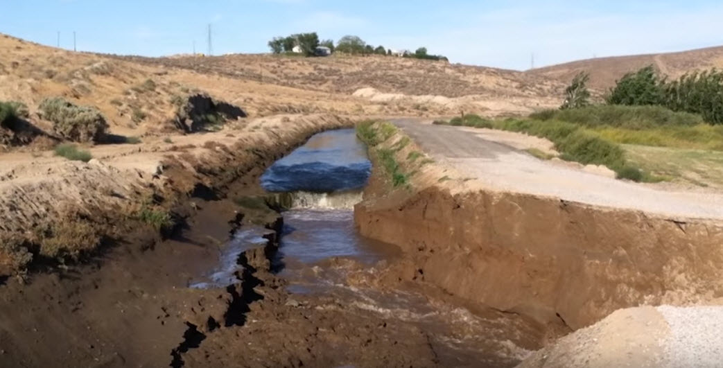Image compromised earthen bank due to burrowing rodents.