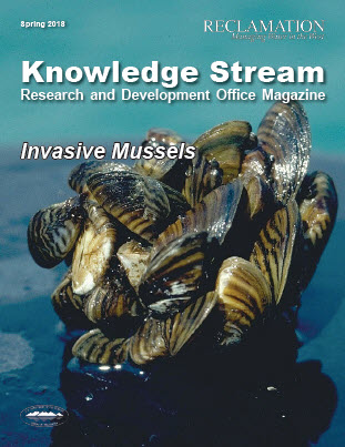 The knowledge stream cover that shows a clump of mussels.