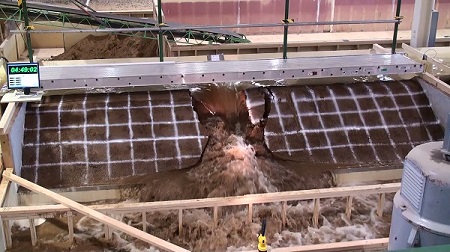 Canal embankment breach test in progress