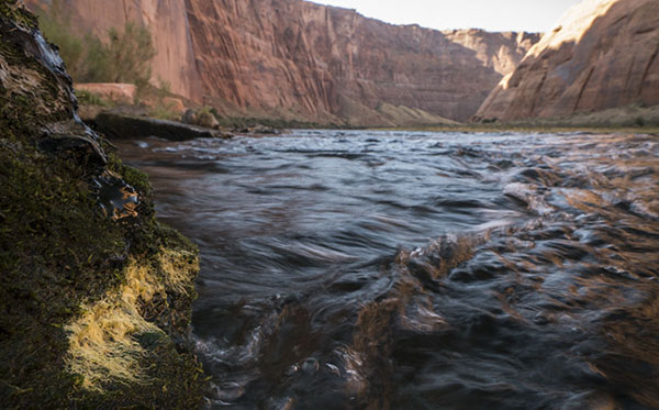 Grand Canyon by USGS and Freshwater Illustrated