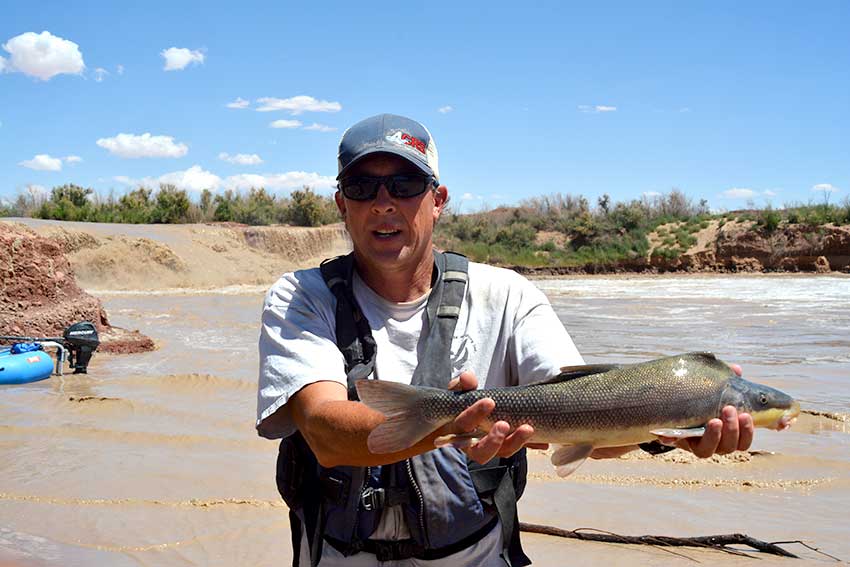 Mark McKinstry, Reclamation's biologist, conducting research at Piute Farms Waterfall