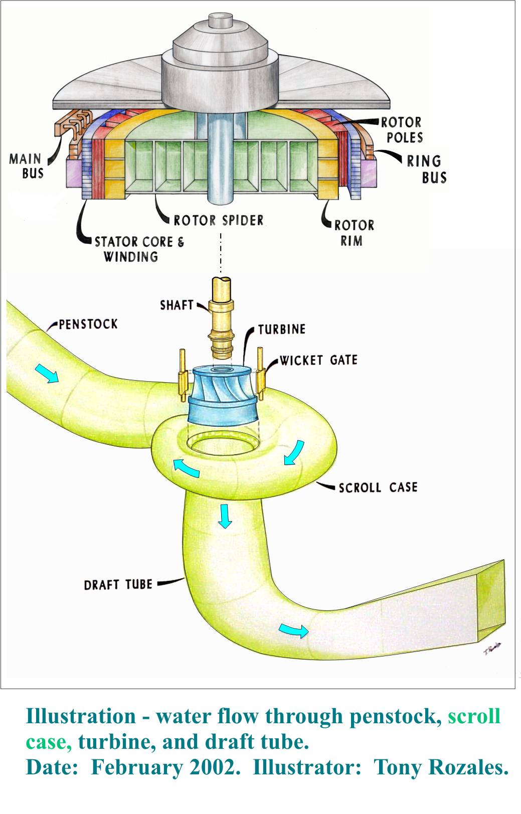 Illustration of water flowing through penstock, scroll case, turbine, and draft tube