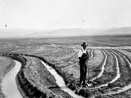 Farmer in overalls holding a shovel stand in the foreground of a freshly plowed field with irrigation ditches full of water flowing to his left.