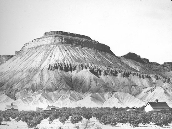 Black and white image of Mount Garfield in the background and three structures in and orchard in the foreground.