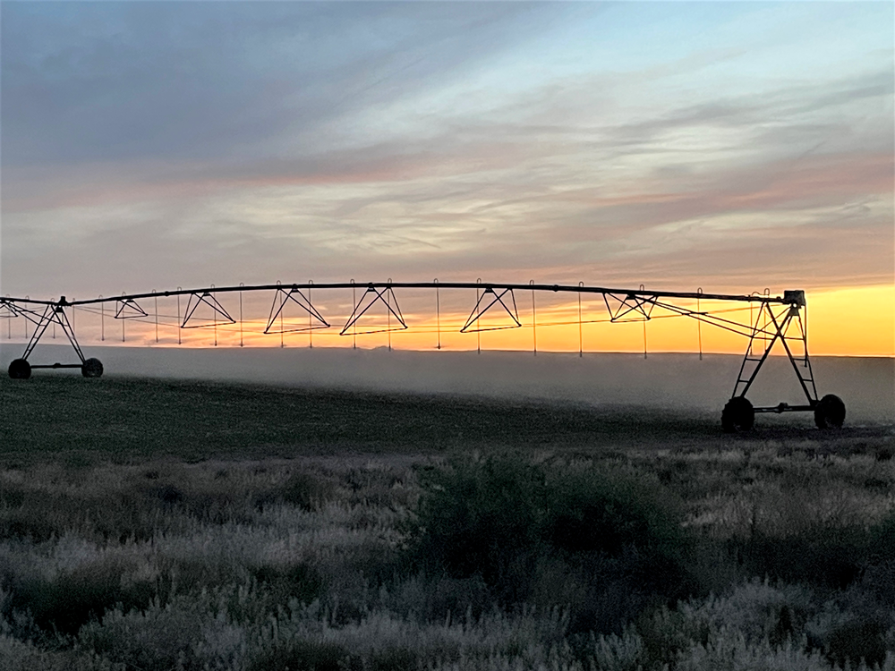 Centre Pivot self-propelled irrigation system spraying a field at sunrise.