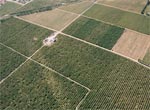 photo: agricultural land served by Reclamation Project irrigation water