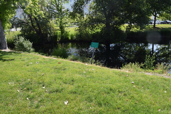 East View of East Bay Retention Pond