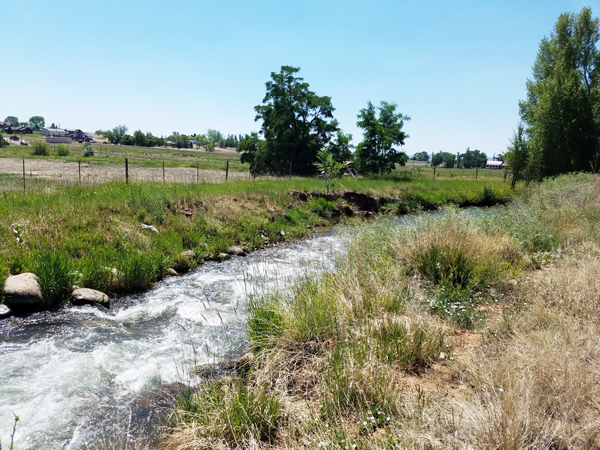 A sunny day with blue sky and the water in the Florida Canal sparkles while flowing. There is green and brown grass on either side and trees in the distance.