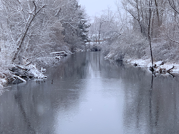 Picture of a stream flowing directly away from the camera flanked by snowcoverd trees on each bank.